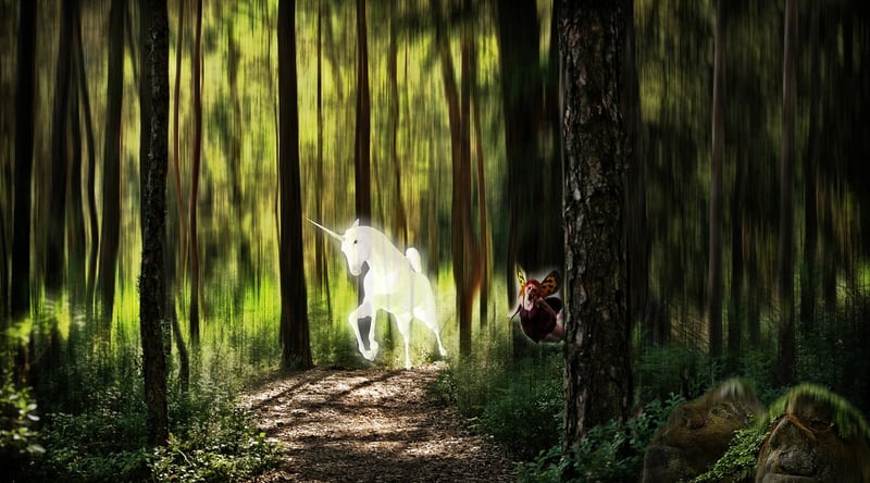 Whimsical Creatures